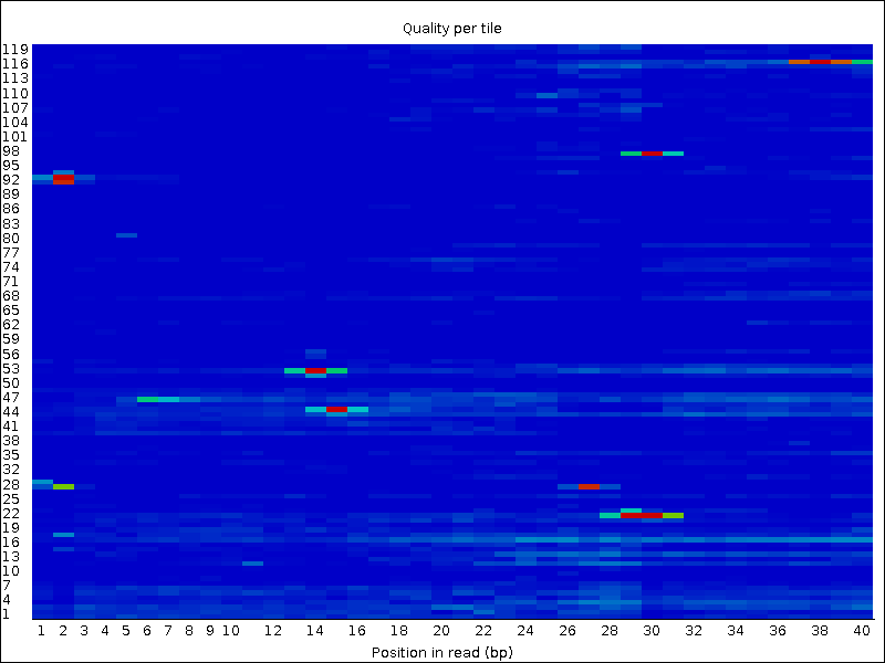 Fastqc. Sequence quality score. Sequence quality score Reverse.