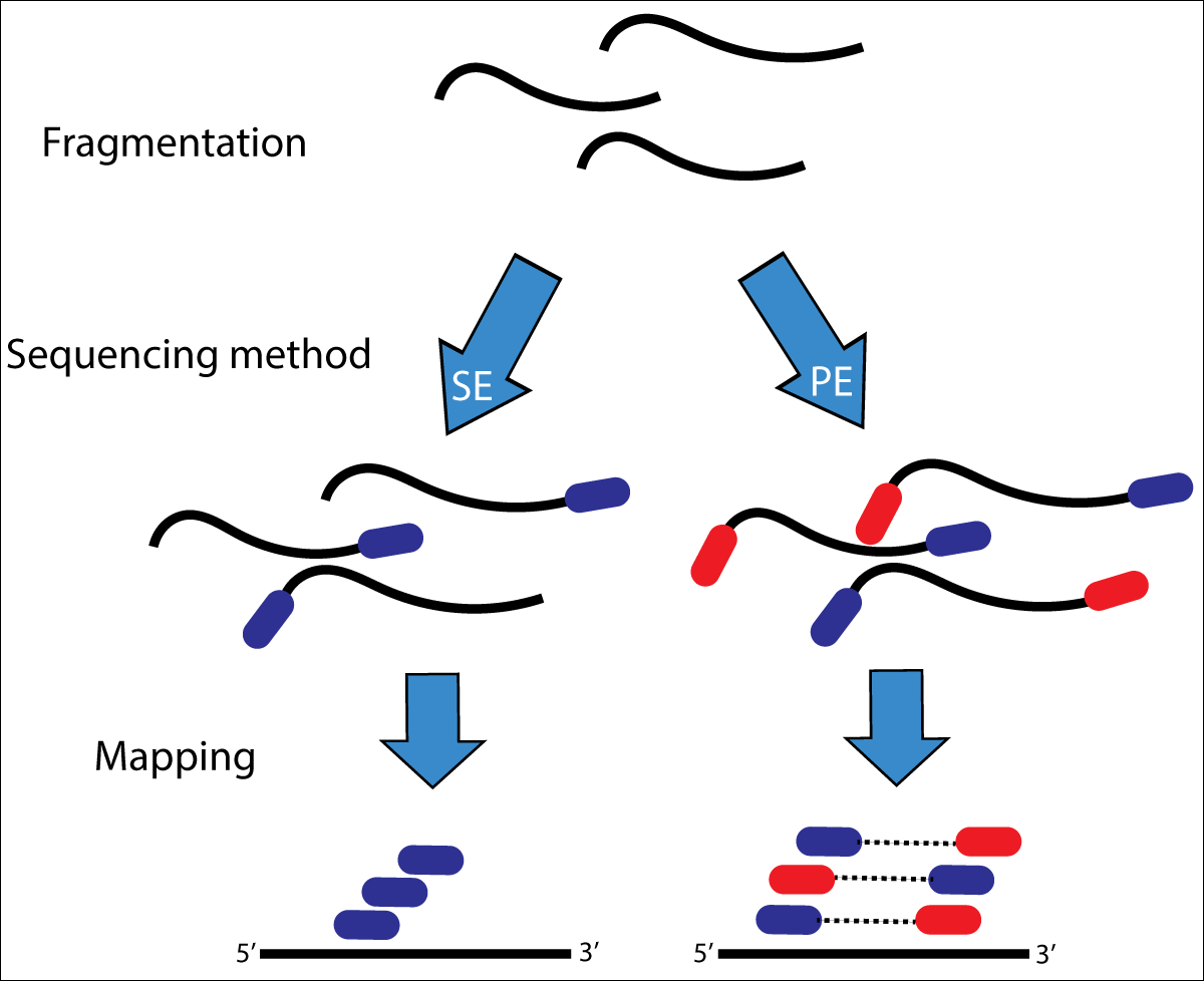 vejkryds Begge Kirkestol 3. Quality control — Genomics Tutorial 2020.2.0 documentation